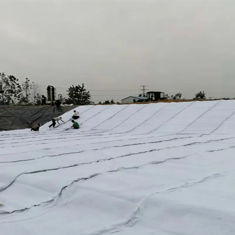 Композитная дренажная сетка для дренажа за подпорными стенами003