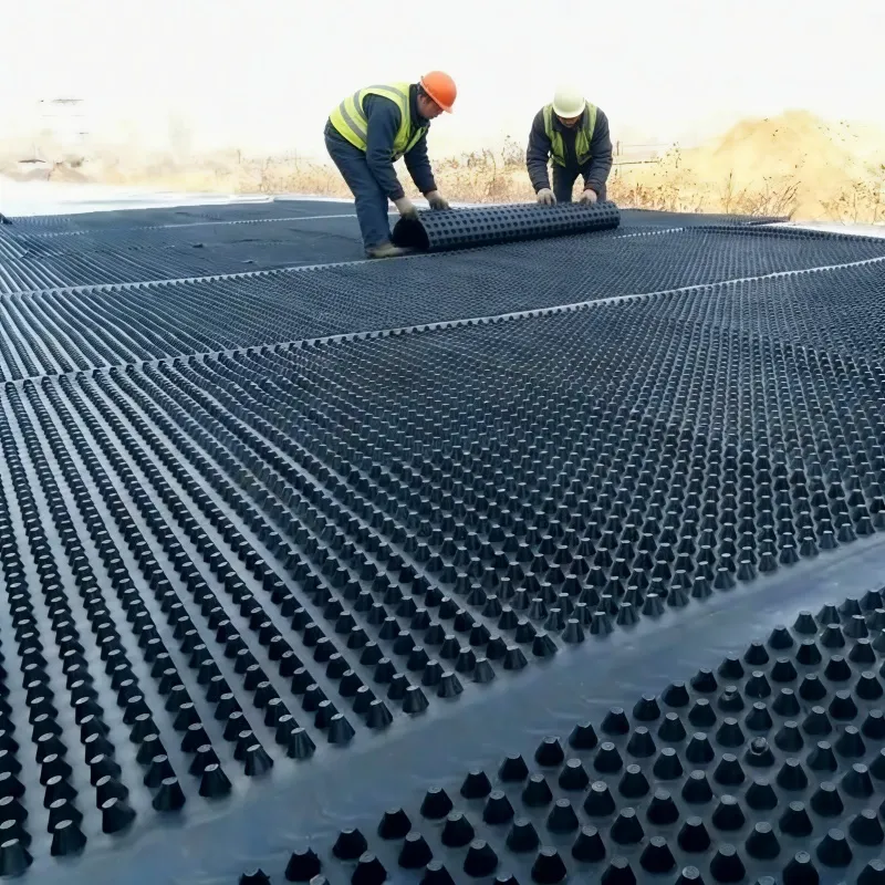 Пластиковая дренажная плита (1)