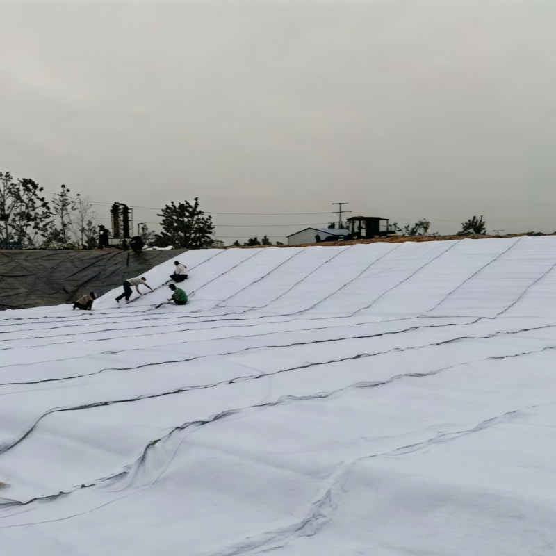 Трёхмерная композитная дренажная сетка (объёмная дренажная плита с сердечником) (2)