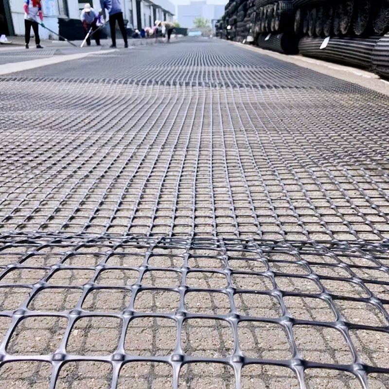 Цветная пластиковая геосетка из полипропилена для ограждения рыбоводных прудов-A (2)